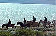 Horse Riding in Patagonia