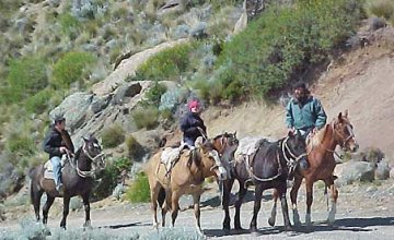 Horse Riding in Patagonia