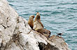 Reserva Natural Cabo Blanco