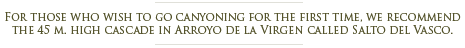 Canyoning in Arroyo de la Virgen