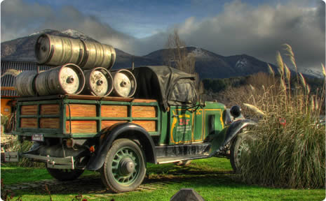 Cerveza Blest: cerveza artesanal en Bariloche