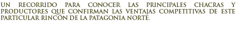 Circuito de los productores