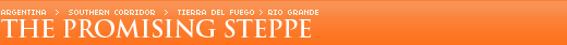 The Promising Steppe
