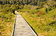 Explorando el parque