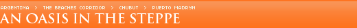 An Oasis in the Steppe