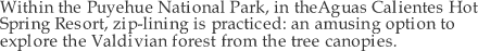 Among the Trees