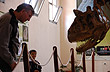 Sobre los dinosaurios en el museo de El Choc�n