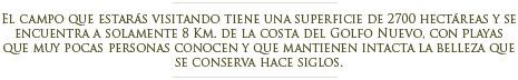 Estancia San Guillermo