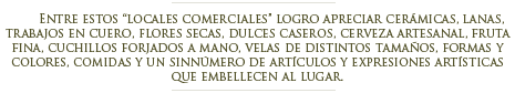 Feria artesanal de El Bols�n