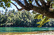 Rincones del parque nacional Los Alerces 