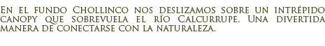 Canopy en el fundo-hoster�a Chollinco