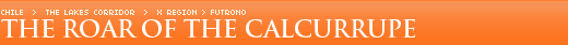 The Roar of the Calcurrupe