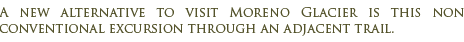 Non conventional  Excursion to Moreno Glacier