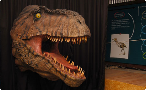 Visit to El Calafate Historical Interpretation Center