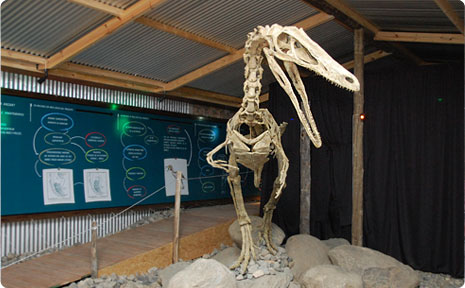Visit to El Calafate Historical Interpretation Center