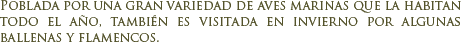 Reserva provincial Isla de los P�jaros
