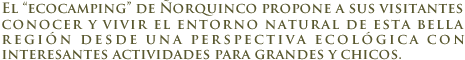 Lago �orquinco