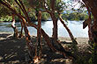 Salida hacia lago Riesco para pescar