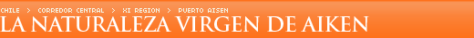 La naturaleza virgen de Aiken