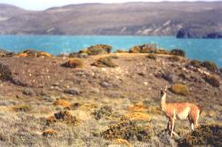 Lago Belgrano y Cerro San Lorenzo