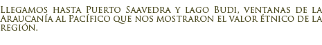 Puerto Saavedra y lago Budi