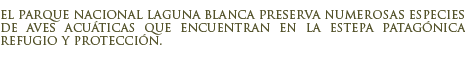 Parque Nacional Laguna Blanca