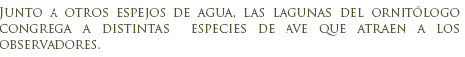 Lagunas del Ornit�logo