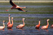 Birds Haven