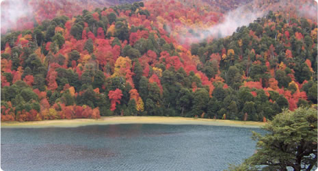 Visita a Lahuen Co en otoño