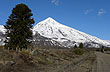 Camino a Chile por Mamuil Malal