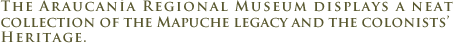 Araucan�a Regional Museum