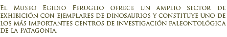 Museo Paleontol�gico Egidio Feruglio