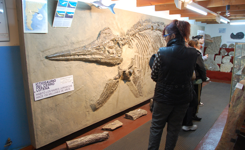 Asociación Paleontológica Bariloche Museum