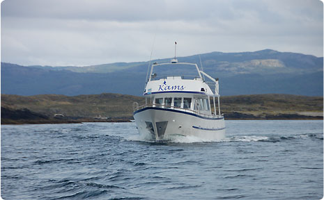 Excursiones por el canal de Beagle