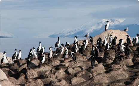 Excursiones por el canal Beagle