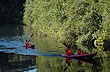 Border�o Ecological Park in Valdivia