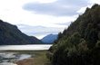 Ancient Patagonian Cypress Forest  