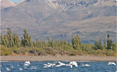 Pesca y navegación en lago Buenos Aires