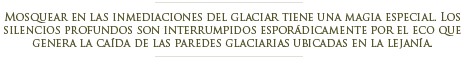 Pesca con mosca con Calafate Fishing