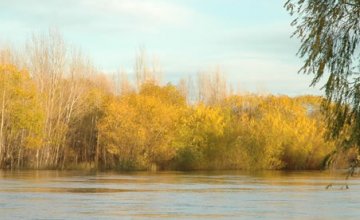 The Limay, for Anglers