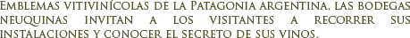 Bodegas de la Patagonia