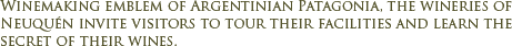 Patagonian Wineries