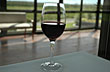 Around the Southern Vineyards