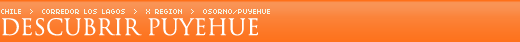 Descubrir Puyehue