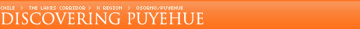 Discovering Puyehue
