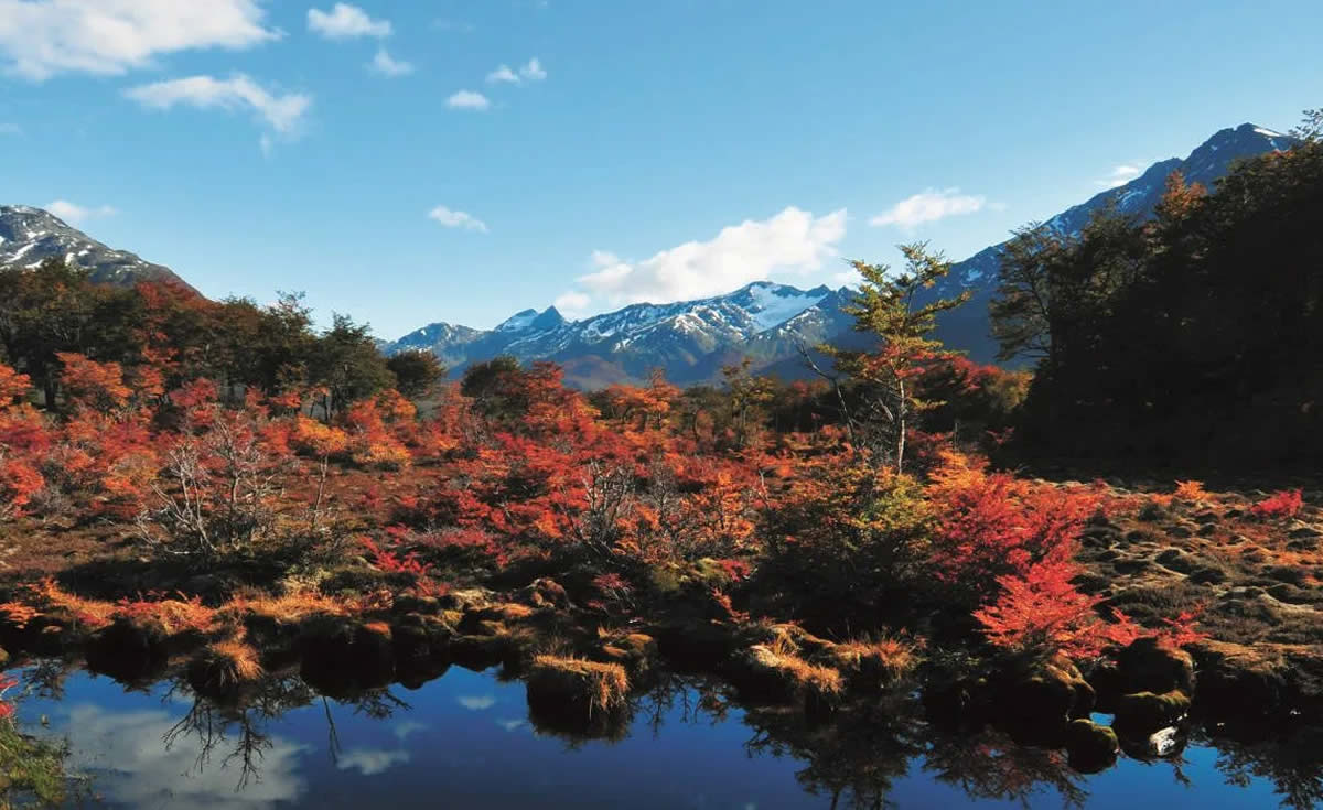 Cerro Alarkén Nature Reserve in autumn