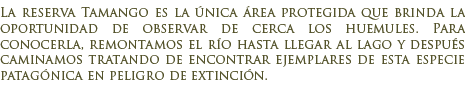 Reserva Nacional Tamango en Chile