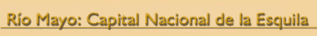 R�o Mayo: Capital Nacional de la Esquila.