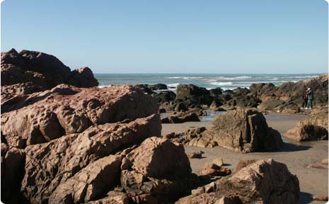 Sótano y cañadón de Las Ostras