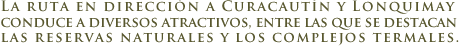 Recorriendo la Araucan�a